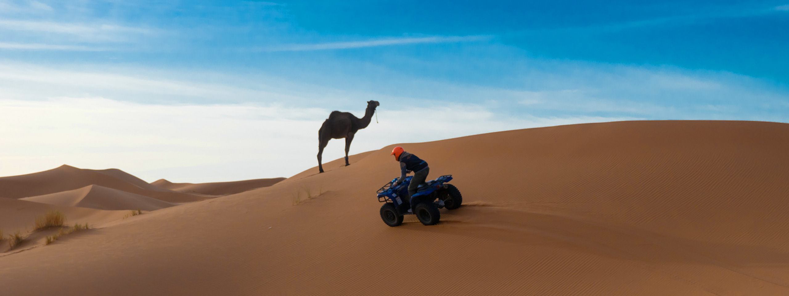 Excursions in Morocco